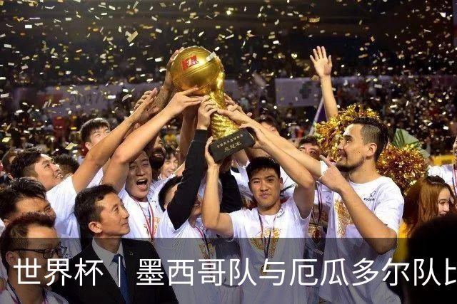 世界杯｜墨西哥队与厄瓜多尔队比赛因雷雨延迟