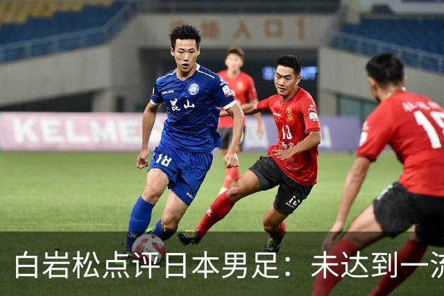 白岩松点评日本男足：未达到一流强队标准，仍需克服对荷兰的恐惧